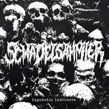 psychotic-insticts cover